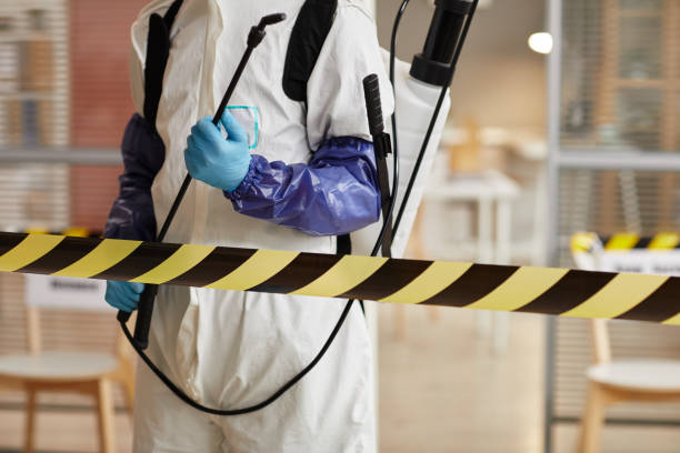 Professional Sewage Cleanup technician working in Groveton, VA